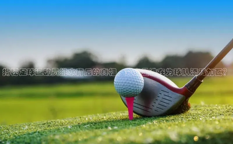 凯捷体育华扬联众