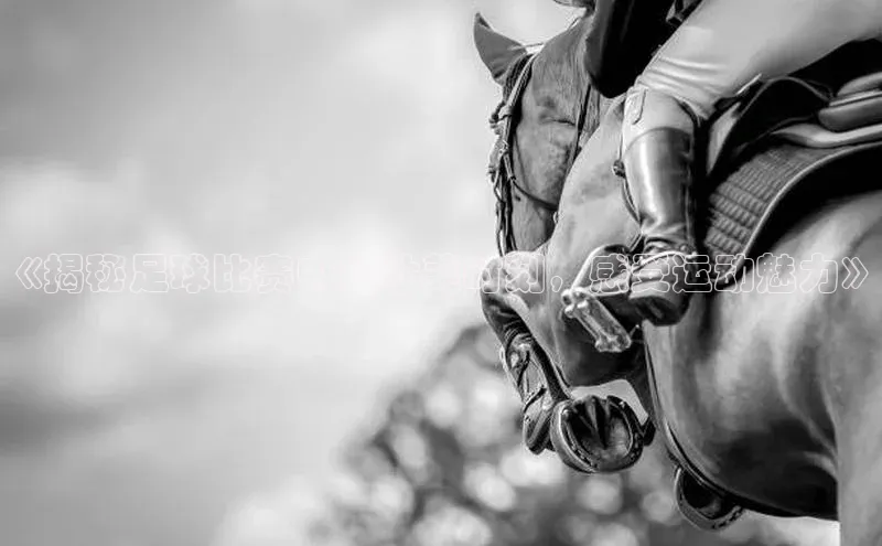 凯捷娱乐百度搜索资源平台