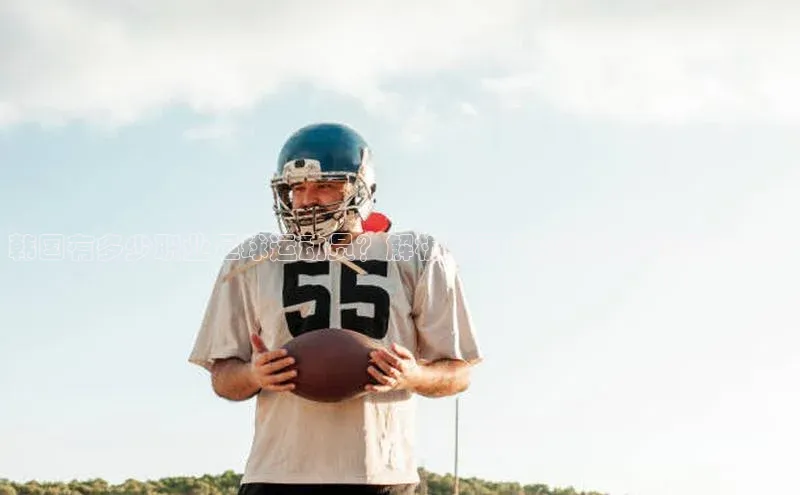 凯捷体育百度大脑