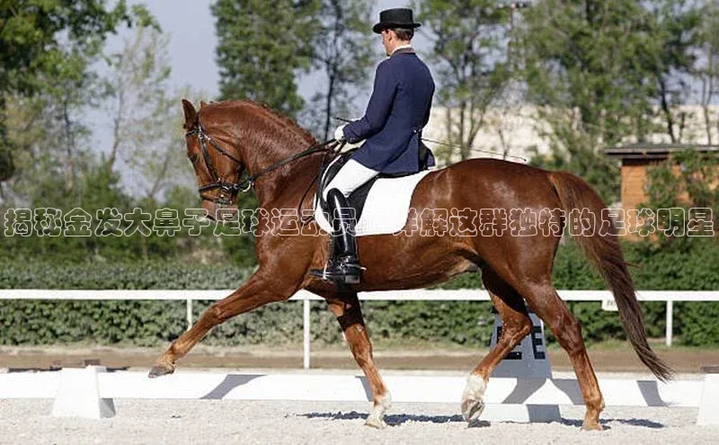 意昂4凯捷娱乐百度社团赞助平台